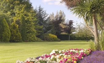 The Dunraven, Adare