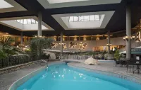 Saskatoon Inn & Conference Centre - piscine