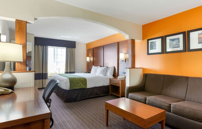 Comfort Suites Stevensville - St Joseph