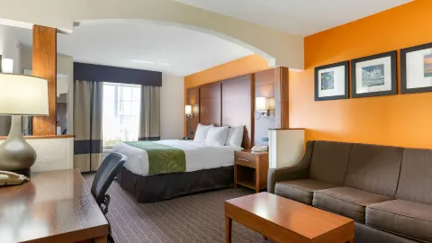 Comfort Suites Stevensville - St Joseph in Berrien County