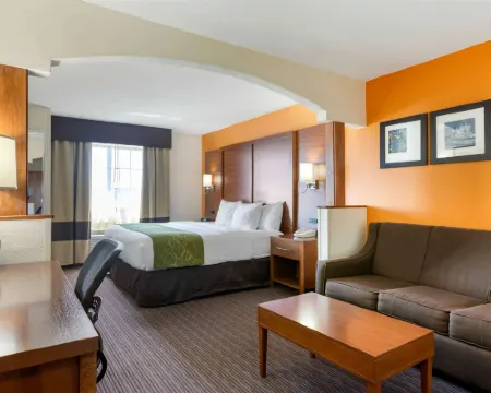 Comfort Suites Stevensville - St Joseph Hotels in Berrien County