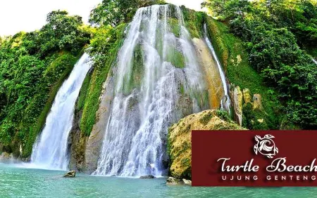 Turtle Beach Ujung Genteng