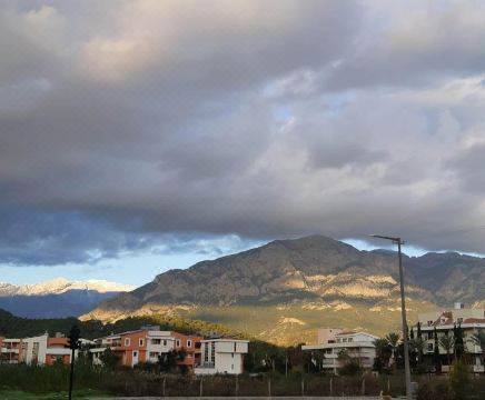 5. 엘리아 오텔..