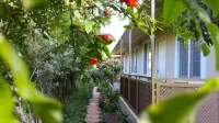Oase Garden Hotel