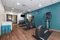 Holiday Inn Express & Suites CHARLOTTE SOUTHEAST - MATTHEWS by IHG - Gym