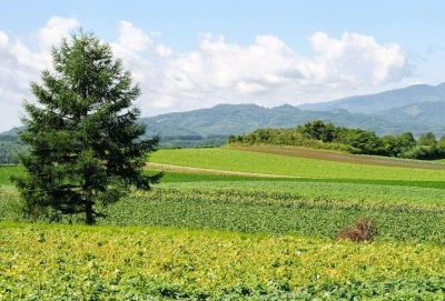 ホテル周辺 ホテルニセコアルペンの写真