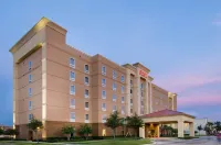 Hampton Inn & Suites Lakeland-South Polk Parkway Hotels near Hibbett Sports