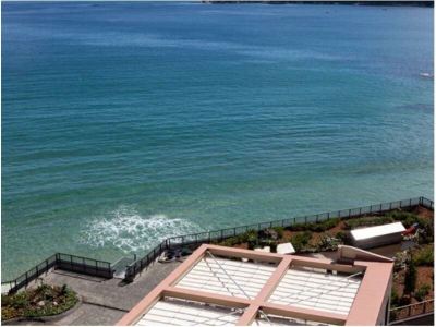 ホテルからの眺望 三陸花ホテルはまぎくの写真