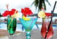 Le Vasseur la Buse Eco Resort - bar