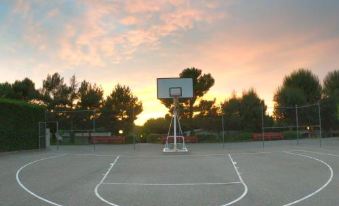 Camping Prades Park
