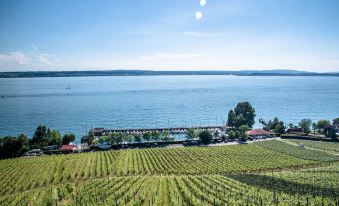 Bodenseehotel Renn