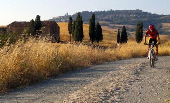 a dirt road is winding through a field of tall grass and a hillside in the background at Antico Borgo Il Cardino