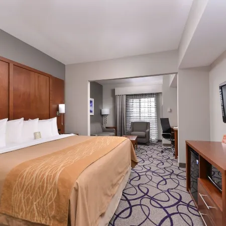 Comfort Inn & Suites Frisco - Plano