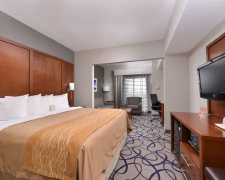 Comfort Inn & Suites Frisco - Plano フリスコのホテル