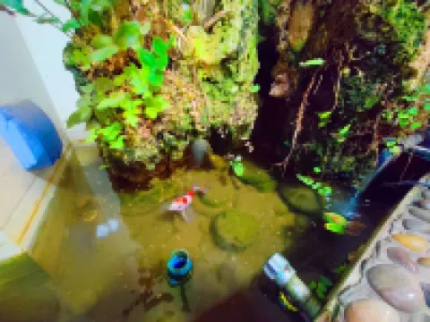 Fanchen Homestay (Luzhou Dongsheng Road)