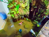 Fanchen Homestay (Luzhou Dongsheng Road)