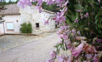 La Désirade Chambres d'hôtes en Provence