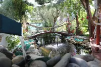 Akmonya Pansiyon Hotels in 