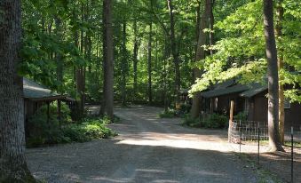 a dirt road surrounded by lush green trees , leading to a building in the distance at Lost Lodge Resort