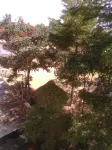 Green Court Hotel Hotels in 