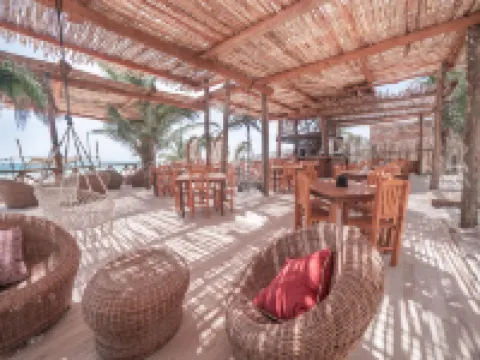 阿利託圖蘭酒店 圖盧姆酒店