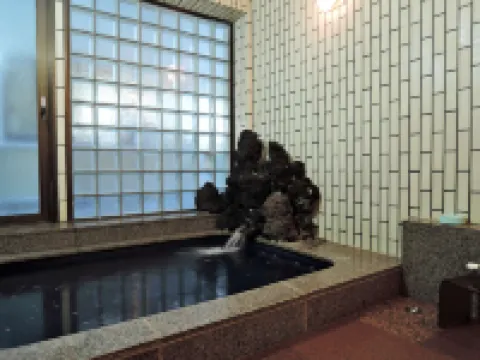 Takematsu Ryokan Hotels in Ina