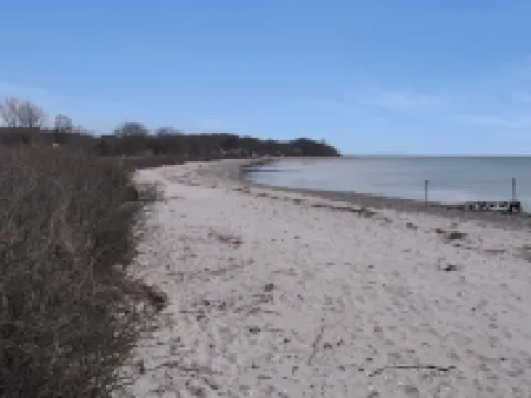 "Anisa" - 400m from the Sea