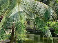 Khach san Sao Mai Hotels in Ben Tre