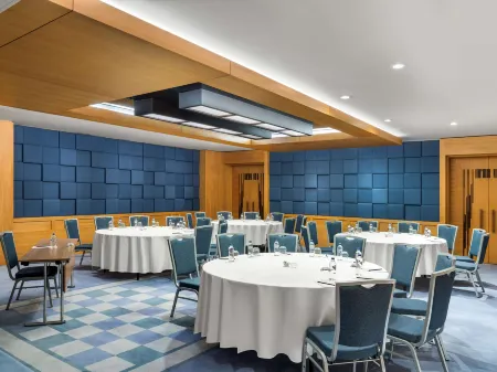 Radisson Blu Hotel, Istanbul Sisli