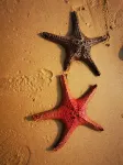 Floral Hotel·Wenchang Yunjuanyunshu Seascape  Hotel - Romantic