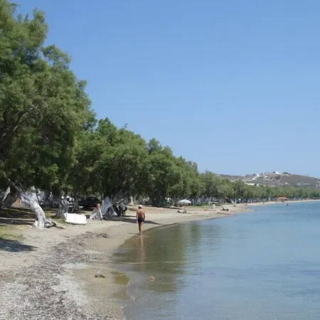 Konstantinos