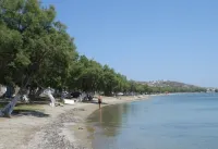 Konstantinos - Ocean View