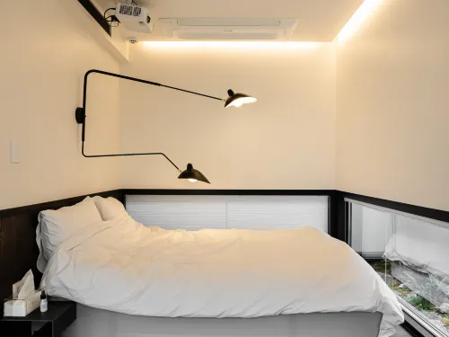 스테이 테오리아