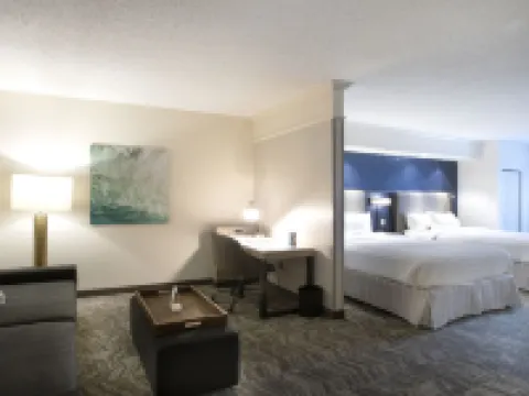 スプリングヒル スイーツ バイ マリオット サバンナ エアポート サバンナのホテル