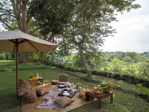 플라타란 보로부두르