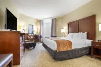 Comfort Inn & Suites Daphne Spanish Fort - Mobile East Hotel a Daphne
