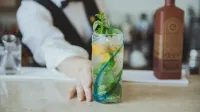 EM Wellness Kurashino Hakko Lifestyle Resort - Barer