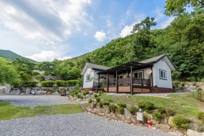 용인 자연숲펜션 백암다래참숯가마 주변 호텔