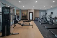 Hotel Indigo MOUNT PLEASANT by IHG - Gym