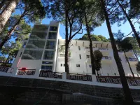 Himalayan Splendour Resort Hotels near Kempty Falls
