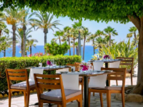 Azia Resort & Spa Hotels in Chloraka