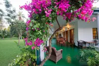 York Lodge Hoteles cerca de Wild Is Life & ZEN