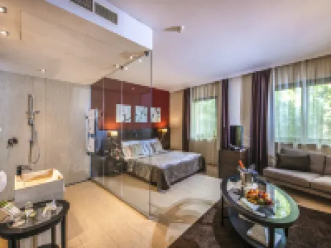 Budapest Airport Hotel Stáció Wellness & Konferencia Hotels in Vecses