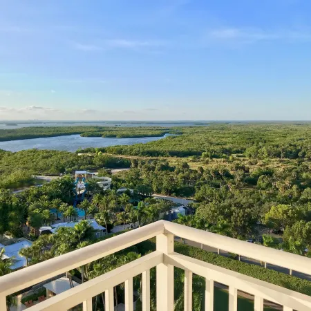 Hyatt Regency Coconut Point Resort Spa
