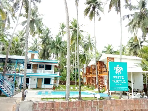 White Turtle Resort