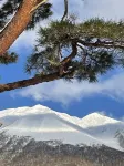Pension Akemanomori Hotels in Daisen