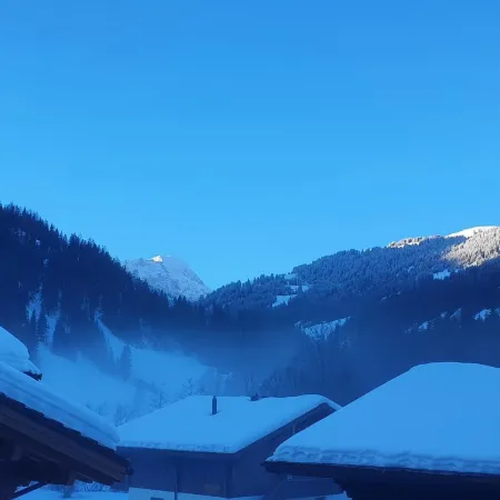 Chalet Lenk Dänk App. 6