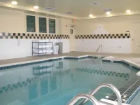 Hilton Garden Inn Addison - Pools