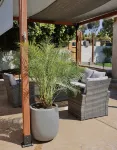 Casita Luna -Cozy Family Home 10 mins to downtown