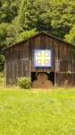 Nature's Delight in Robbinsville NC:  Snowbird Creek, Dragon's Tail and Trout - Chalets